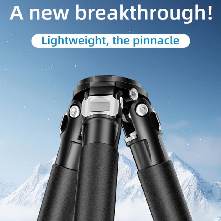 DCA2855B_3.jpg@c71d26a0a1727d7918d41c524a85bd9e