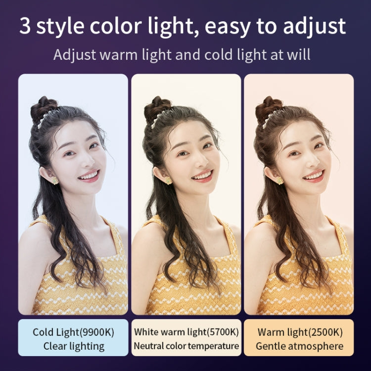 EDA007390001A_4.jpg@28e758ba7e55072d1fe9c4588f2be26a