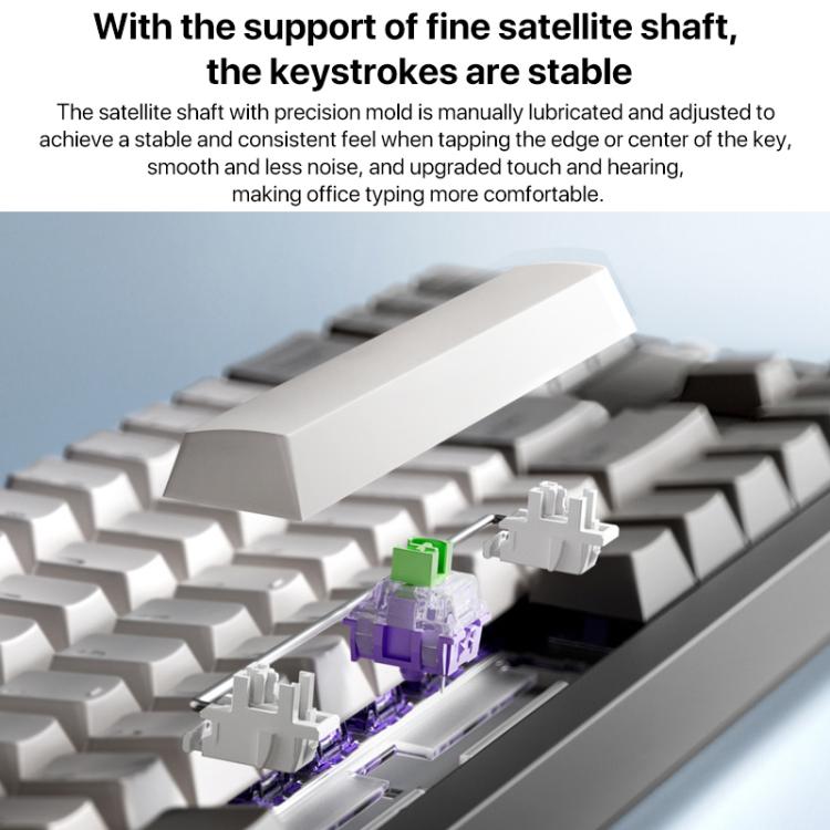 EDA0078740_B5.jpg@b7baa5d2949d3b54a0369c4fbac29414