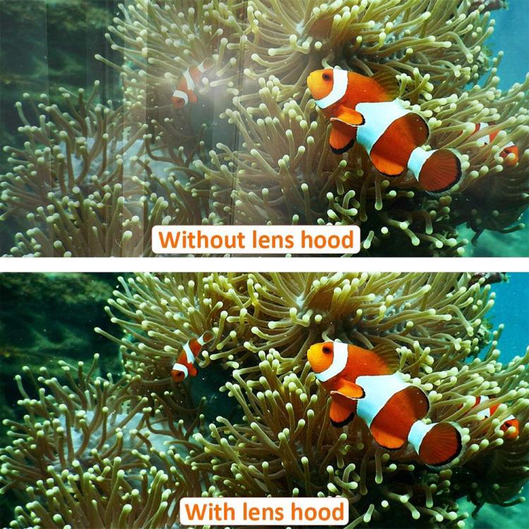 EDA007923202A_6.jpg@70396227439623d4f4072e995c63ed1a