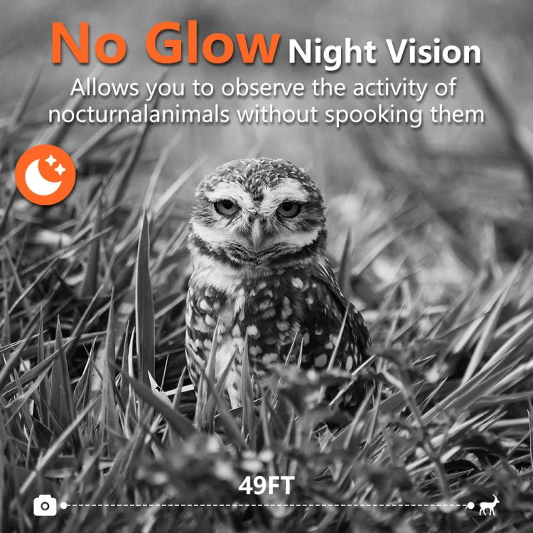 EDA0080725_5.jpg@8c92d9b122a080cf4f35c6a218bf6481