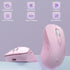 EDA008968601D_1.jpg@b6c197a2959828ea1b904e8900b9e82f