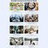 EDA009111401A_20.jpg@9a0782d14981d7108a83501b716202f2