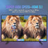 EDA0092546_B6.jpg@f05efdfcb4aa8dffd4dce4624b79c25b