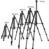 SYA0028447_2.jpg@bf00a12fa985b033d8179e17631d2ebd