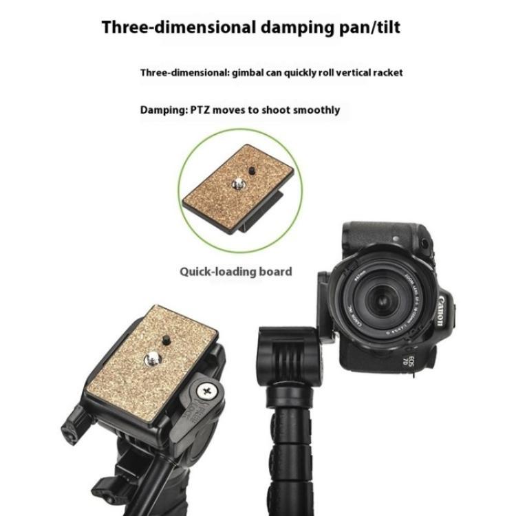 SYA0028733_3.jpg@baf640e61b563905c10f3e8bb67d0d33