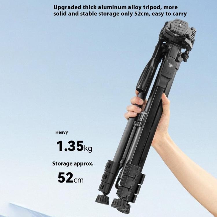 SYA0029429_2.jpg@9c8d8c73abfc4e181cd0776542875a58