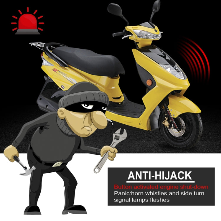 TBD06049226_B7.jpg@5ba800415192231179bf2f9add2a209b