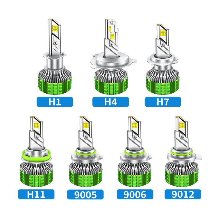 TBD06052460_B1.jpg@4df446fe67c4df2635b4a7be7a356e15