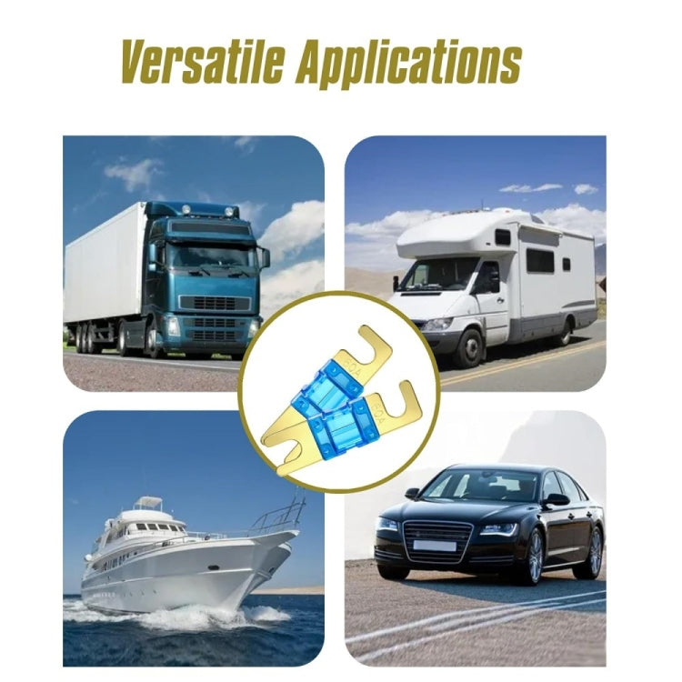 TBD06052883_B4.jpg@f335bc1fe81c117a51e07e9f6f254fd7