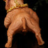 TBD06056802_B5.jpg@bc2b3731a33bba1f2619e553d9518523