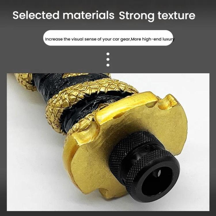 TBD06057974_B5.jpg@dfe393fff18efffa31e31e75a0b9de2e