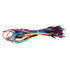 TBD06063438_B3.jpg@9547c2fe73bf6ee63f649c360003a995