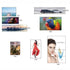 TBD06067089_B9.jpg@08c7ba834a50f3a75bb66b3e2761d735