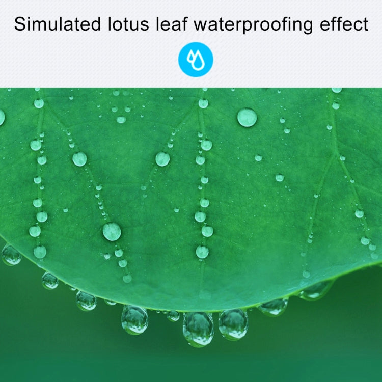 EDA00050005_8.jpg@a3395a4b05b60fc335a2f4785ac09fae