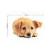 TBD0601614006_1.jpg@bc30e46092770cc640c24dc516298627