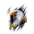 TBD0602665204.jpg@613e562b42be5bfacdcfc1d6923dc598